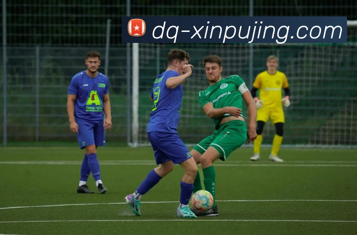 澳门新葡京娱乐APP 封面图