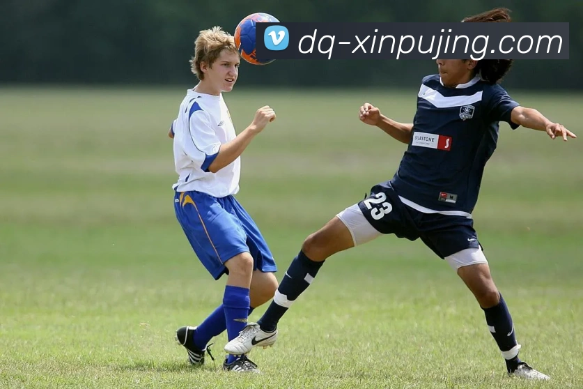 数据防护可视化